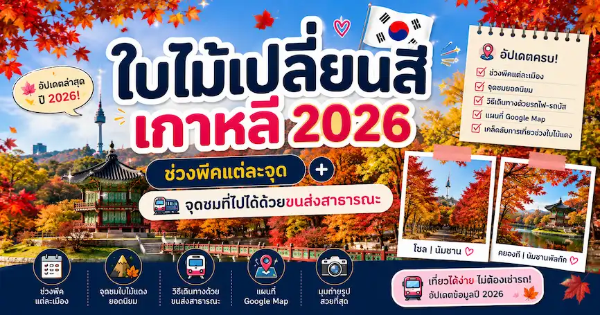 ใบไม้เปลี่ยนสีเกาหลี 2026: ช่วงพีคแต่ละจุด + จุดชมที่ไปได้ด้วยขนส่งสาธารณะ - เที่ยวเกาหลี Korea Travel Guide